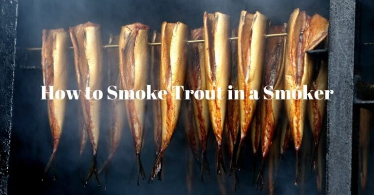 How To Smoke Trout In A Smoker A Sure Fire Guide