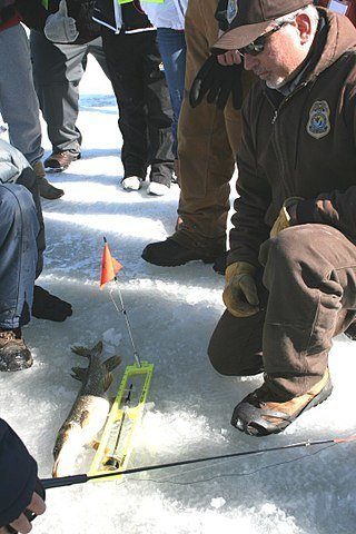 Northern Pike Ice Fishing Tips