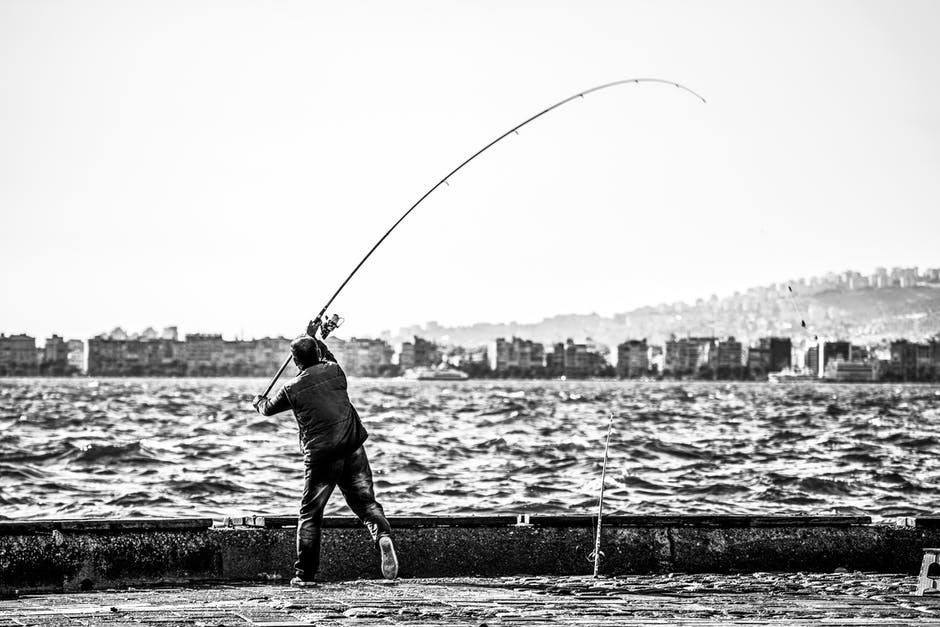 Man casting a fly rod. Black and white image.