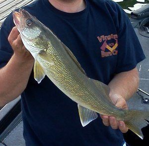 Walleye Winter Fishing Tips