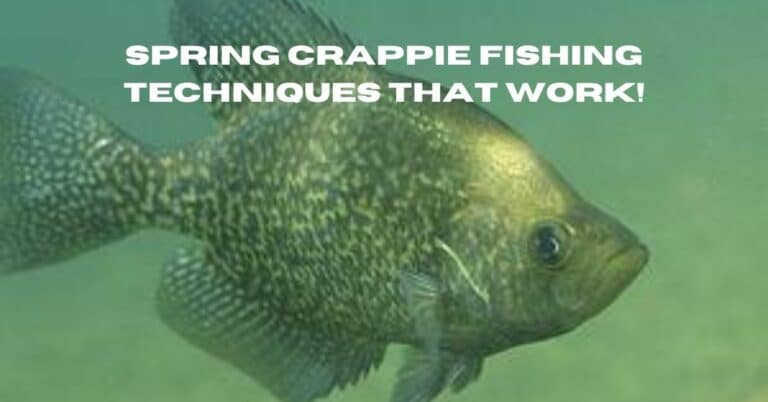 Spring Crappie Fishing Techniques | Surefire Tips