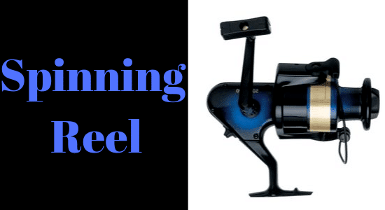 Spinning fishing reel.