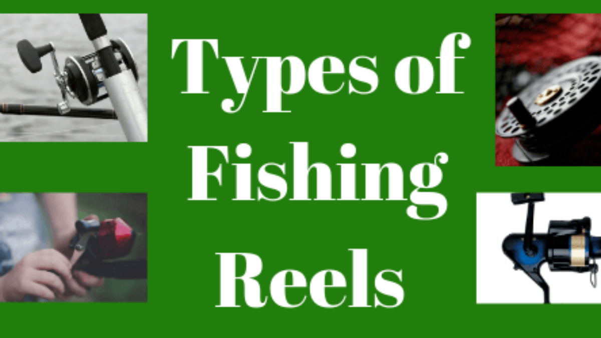 Different Types Of Fishing Reels A Helpful Guide