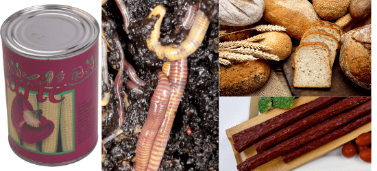 Canned corn, nightcrawlers, bread and beef sausage sticks.