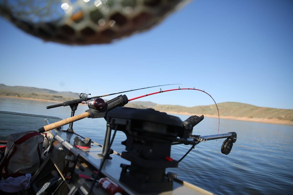 Trolling rods on back of a boat.