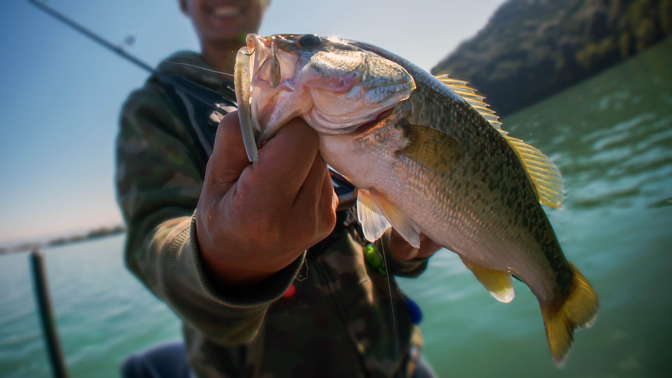 Largemouth bass caught by smiling fisherman