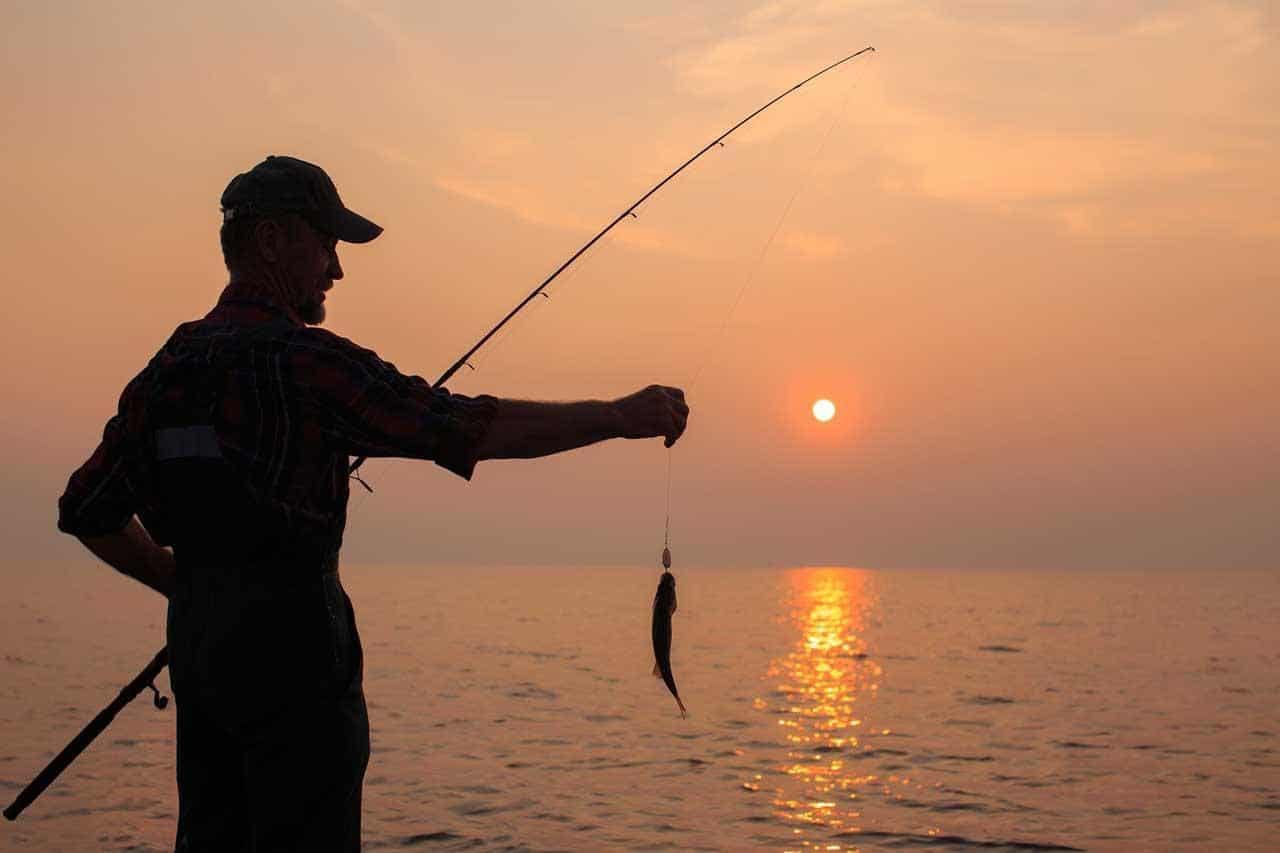 Angler Catches a Fish