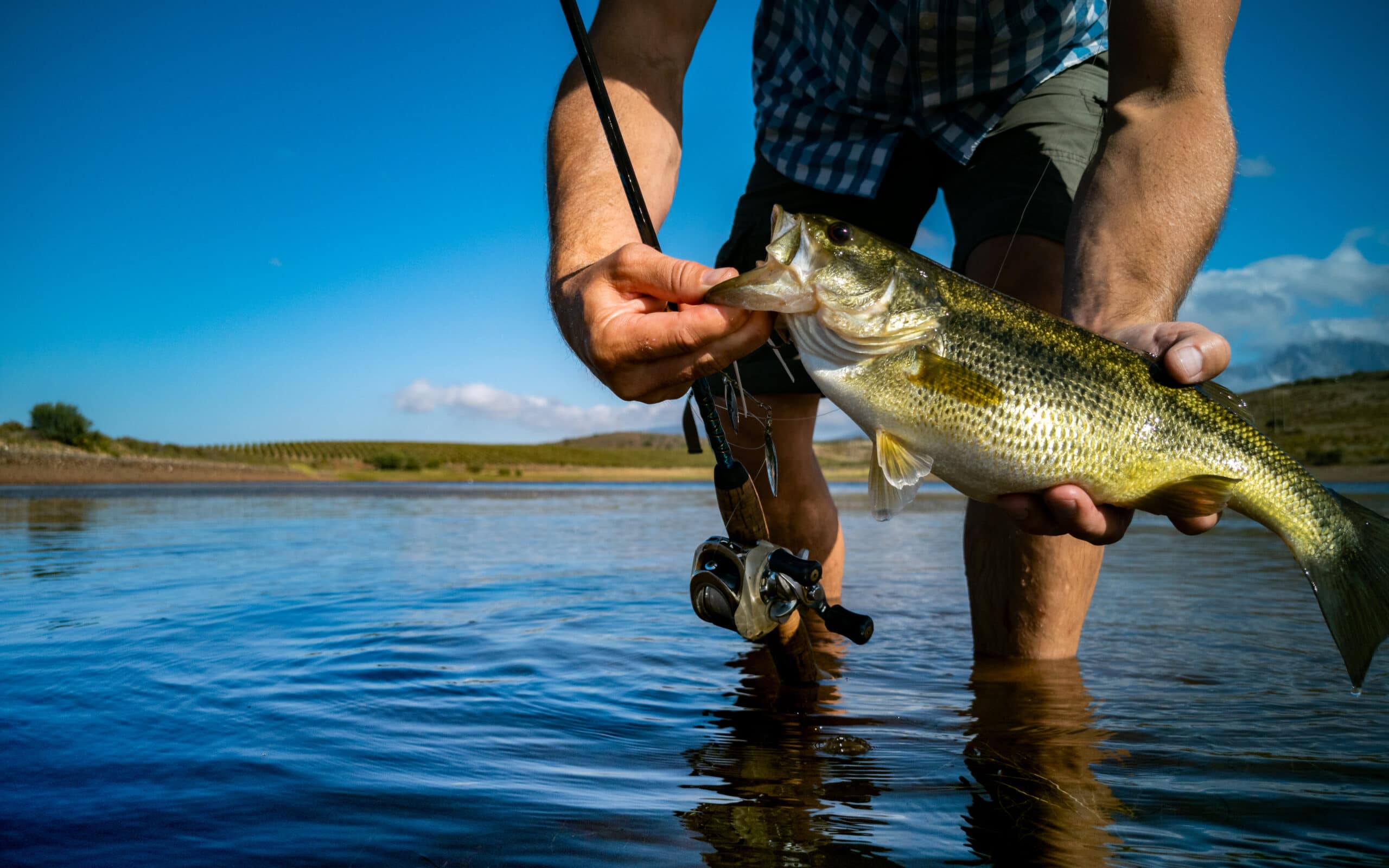 Bass fishing on a beautiful lake in South Africa