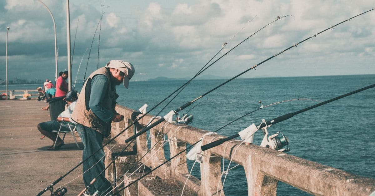 Fishing Rods Lined Up Along a Pier.