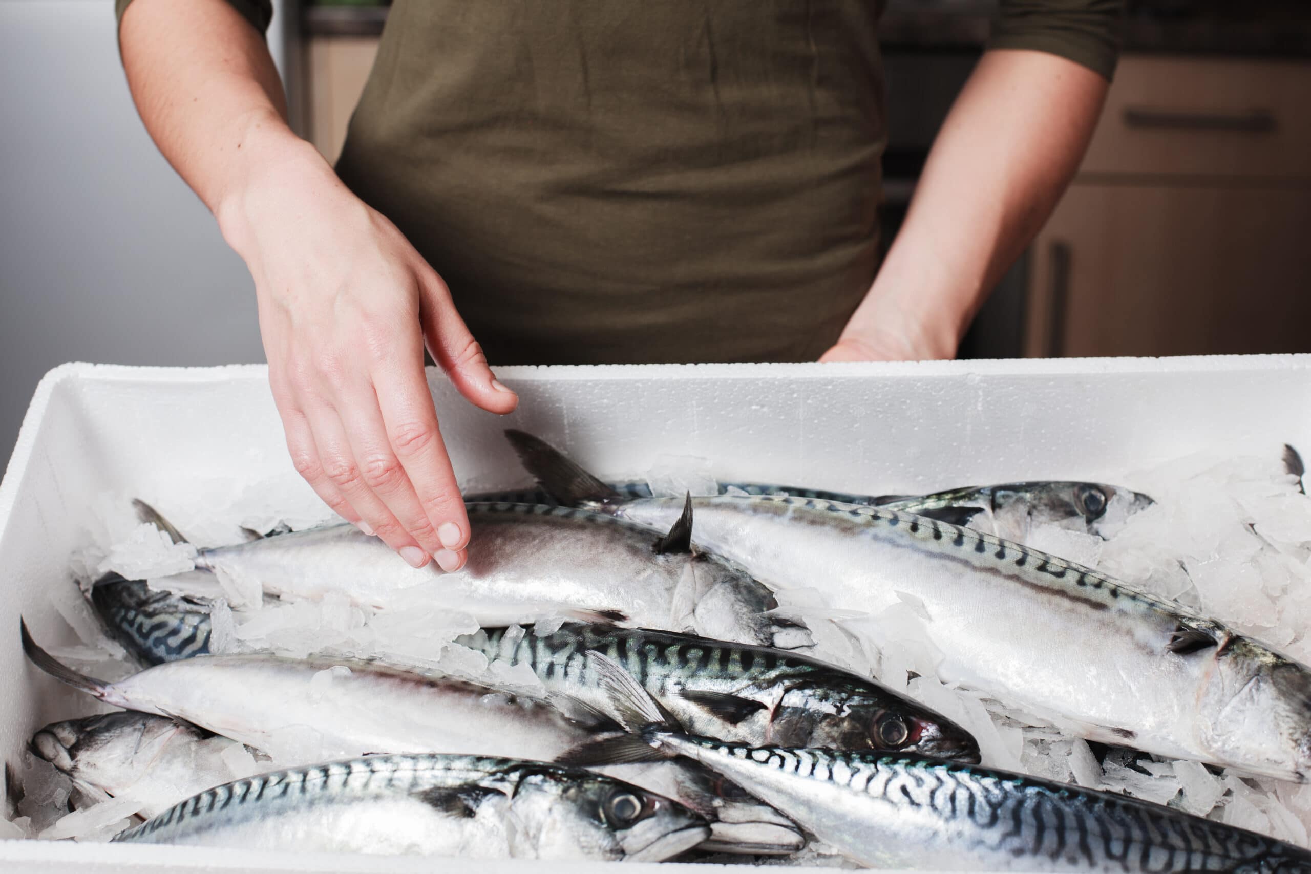 A young woman is holding a box of fresh mackerel in a kitchen