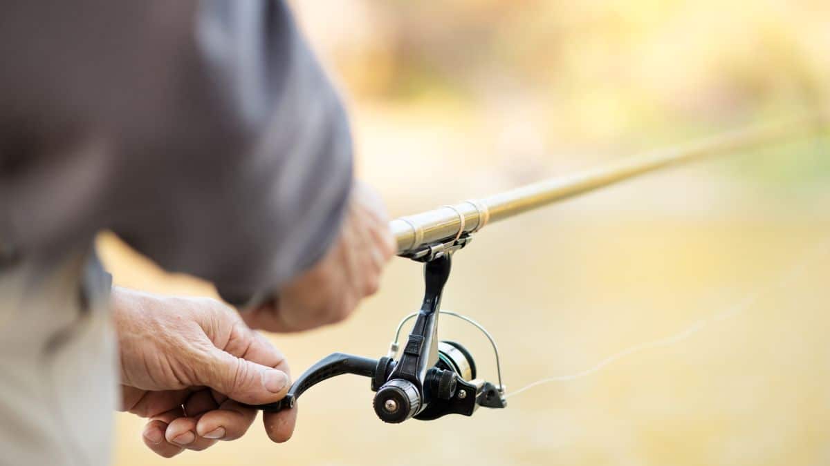 Spinning fishing reel