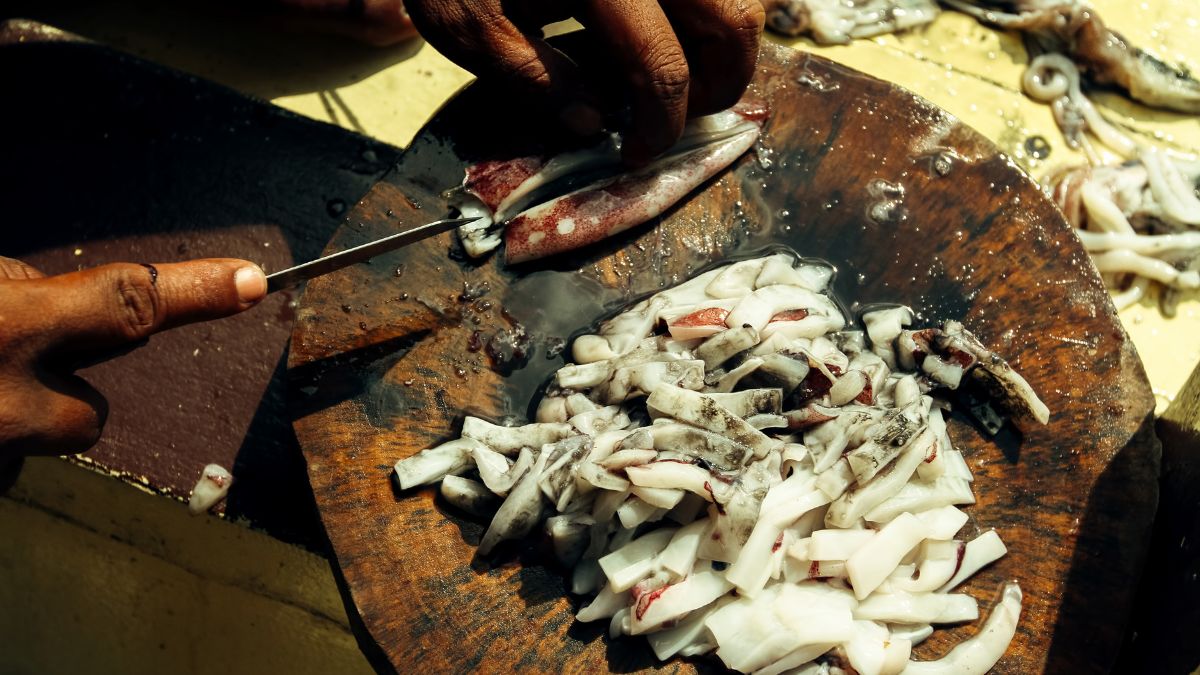 Cutting up squid bait