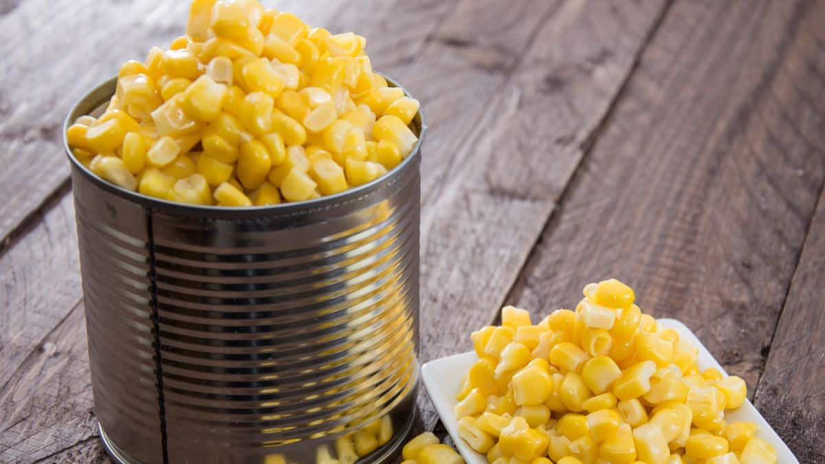 Opened Can of Corn