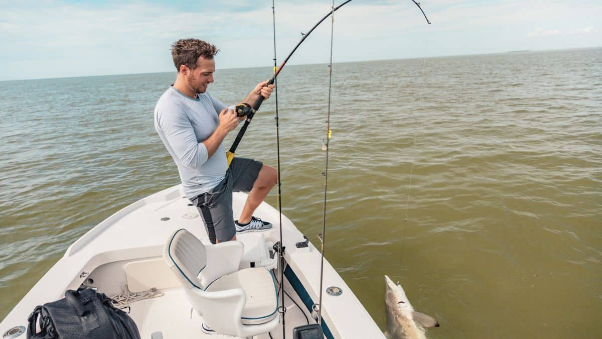 Angler Reeling in a Shark