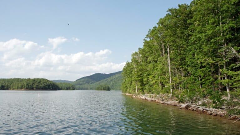 10 Best Fishing Lakes in Virginia: An Anglers Paradise